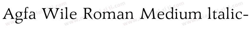 Agfa Wile Roman Medium ltalic字体转换